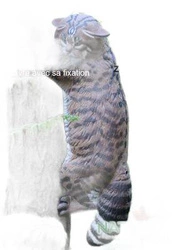 NATUR FOAM 3D TARGET WILD CAT - CLIMBING