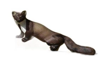 NATUR FOAM 3D TARGET WEASEL
