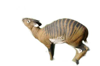 NATUR FOAM 3D TARGET CEPHALOPHUS ZEBRA