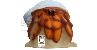 3D INTERNATIONAL 3D HERMIT CRAB
