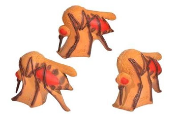 BEIER 3D TARGET MOSQUITO : L40 x W20 x H50cm