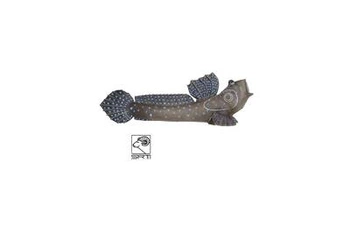 SRT 3D TARGET SALTAFANGO MUDSKIPPER - GROUP 4 - L85cm H13cm