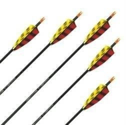 Easton Inspire rodyklė su GATEWAY TRE natūraliu fletching, 1 vnt