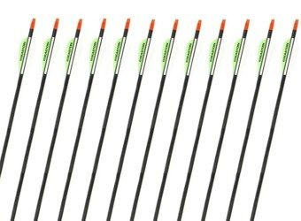 Easton PowerFlight Green arrow 12 vnt