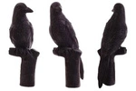 BEIER 3D TARGET CARRION CROW : L22 x W11 x H40cm GROUP 4