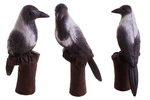BEIER 3D TARGET HOODED CROW : L22 x W11 x H40cm GROUP 4