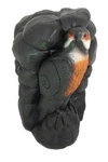 WILD LIFE 3D TARGET FALCON / FALCO ROCCIA - DIM:60x37x37CM GROUP 4