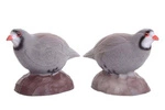 BEIER 3D TARGET PARTRIDGE - HEN : L27 x W12 x H25cm GROUP 4