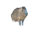 NATUR FOAM 3D TARGET CAPYBARA CABIAI