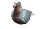NATUR FOAM 3D TARGET PIGEON