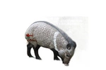 NATUR FOAM 3D TARGET PECCARY