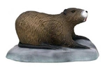 SRT 3D TARGET COYPU - GROUP 4 - L50cm H26cm